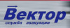 Вектор
